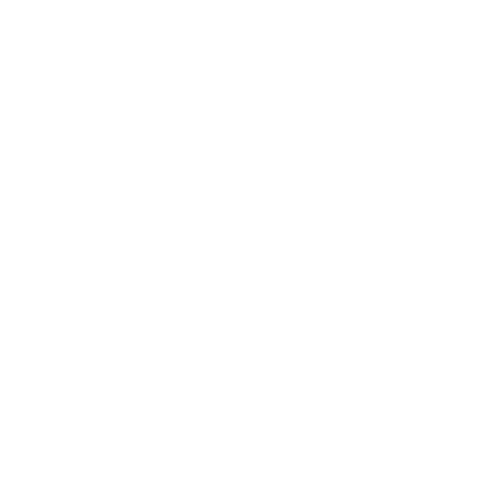 FX Logo